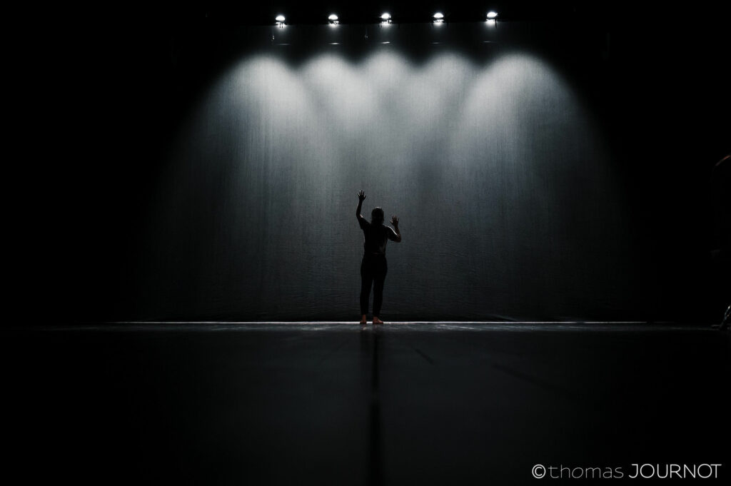 Croire aux Fauves
